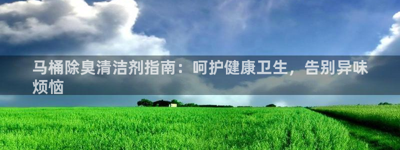 尊龙凯时是哪个国家的：马桶除臭清洁剂指南：呵护健康卫生，