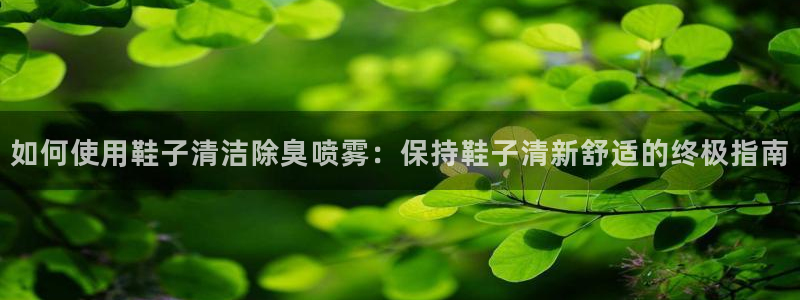 尊龙官方网站最新版V9.3.06