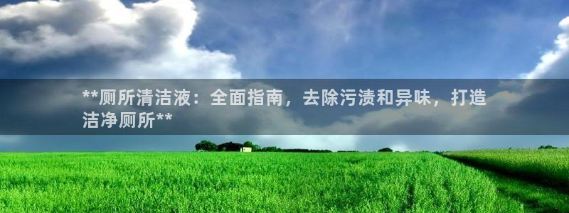 尊龙凯时注册地址：**厕所清洁液：全面指南，去除污渍和异