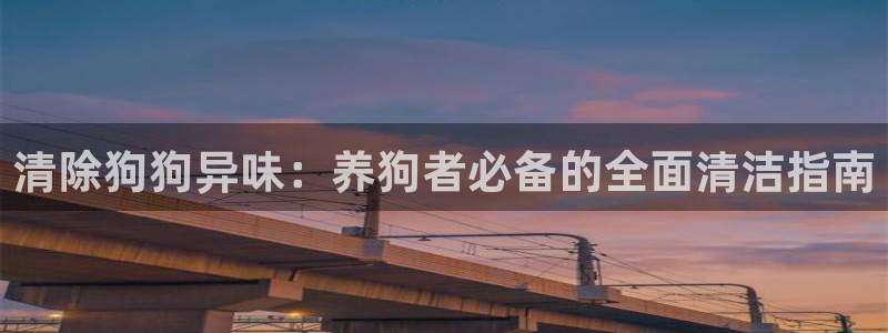 尊龙凯时ag旗舰厅：清除狗狗异味：养狗者必备的全面清洁指
