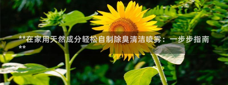 凯时国际网站域名