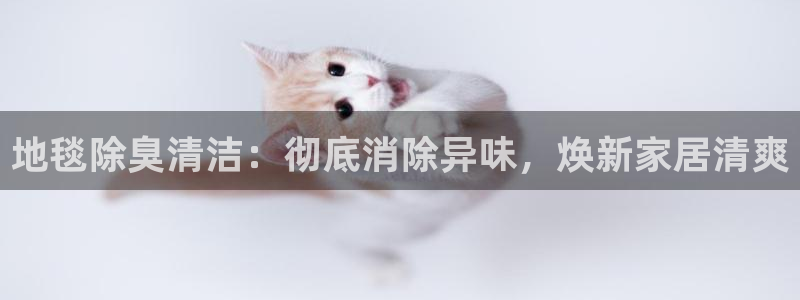 尊龙凯时官网网页版
