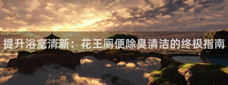 尊龙在线登录官网：提升浴室清新：花王厕便除臭清洁的终极指