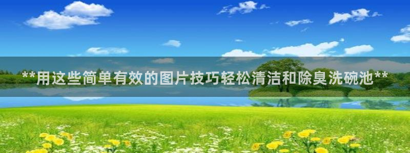 尊龙凯时登录：**用这些简单有效的图片技巧轻松清洁和除臭