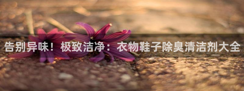 尊龙网站手机下载
