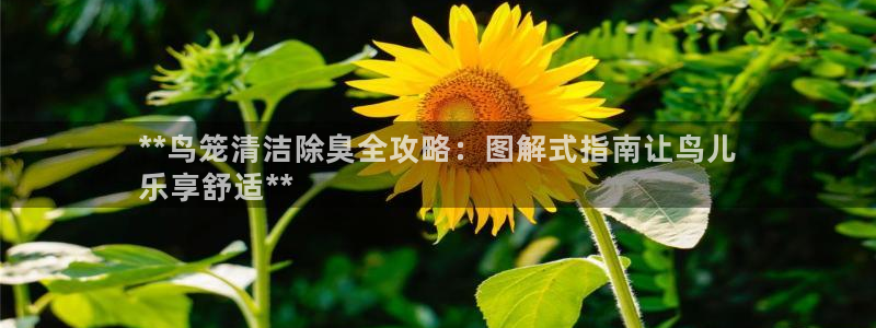 尊龙z6.con