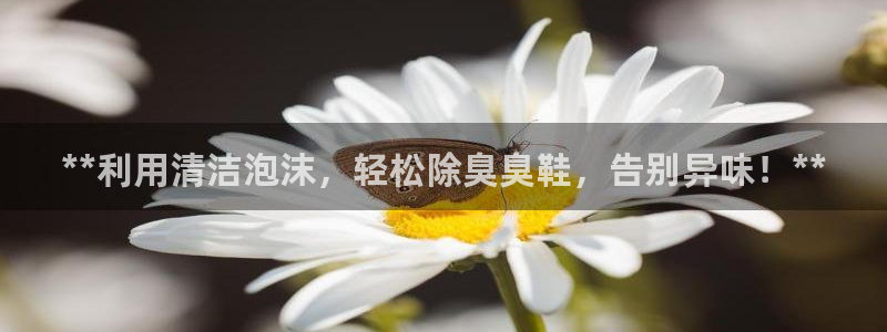 尊龙z6平台：**利用清洁泡沫，轻松除臭臭鞋，告别异味！