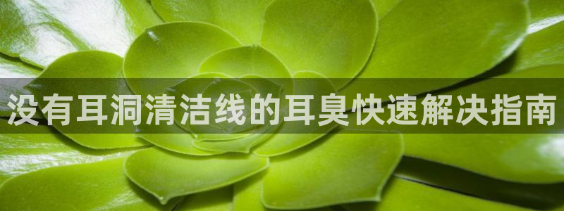 尊龙官网在哪里：没有耳洞清洁线的耳臭快速解决指南