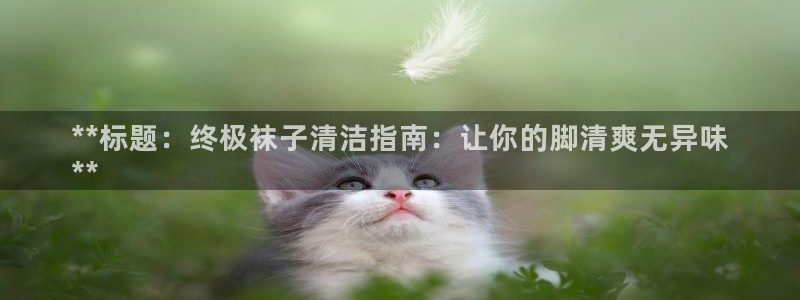 K66凯时国际平台官网