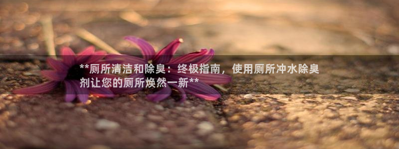 尊龙凯时app安装：**厕所清洁和除臭：终极指南，使用厕