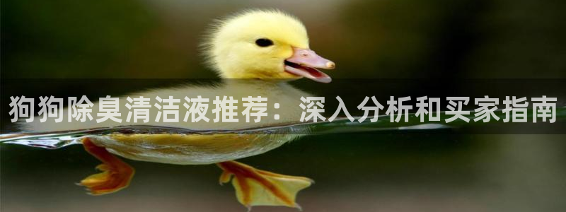 尊龙官方网站
