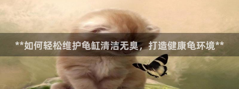 Z6尊龙官网入口