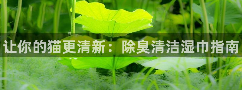 尊龙2021年最新消息