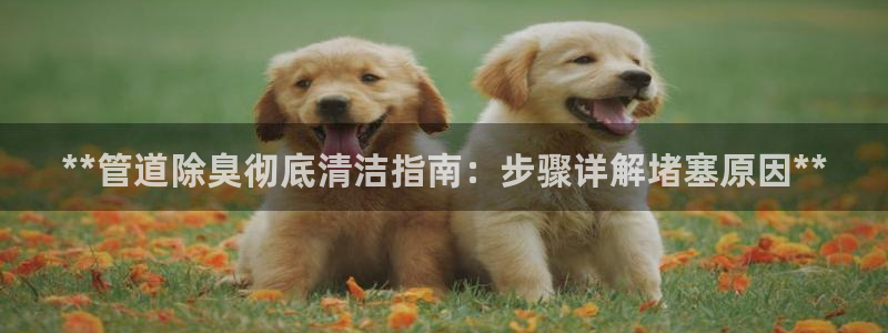 尊龙凯时有假么