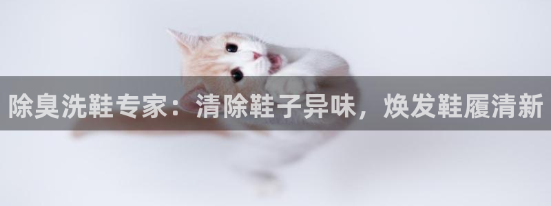 尊龙凯时人生就是搏包装优势