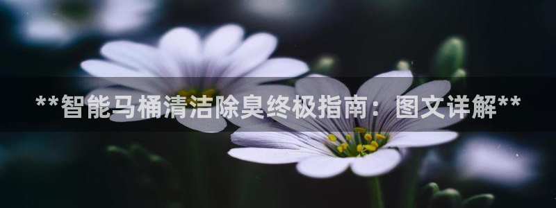 尊龙凯时代理：**智