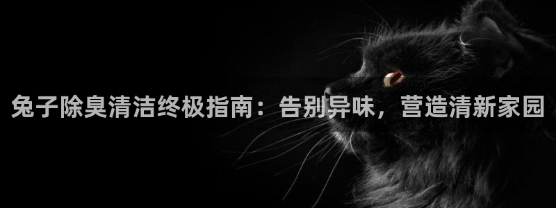 Z6尊龙老版：兔子除臭清洁终极指南：告别异味，营造清新家