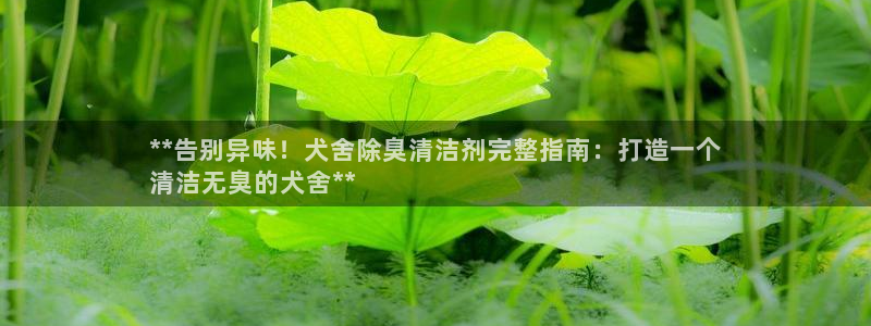 尊龙凯时登录：**告别异味！犬舍除臭清洁剂完整指南：打造