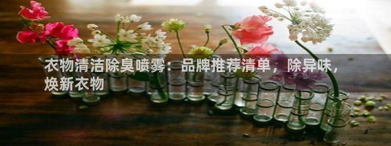 尊龙现金：衣物清洁除臭喷雾：品牌推荐清单，除异味，
焕新