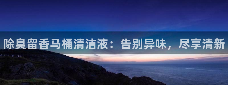 尊龙d88手机版下载：除臭留香马桶清洁液：告别异味，尽享