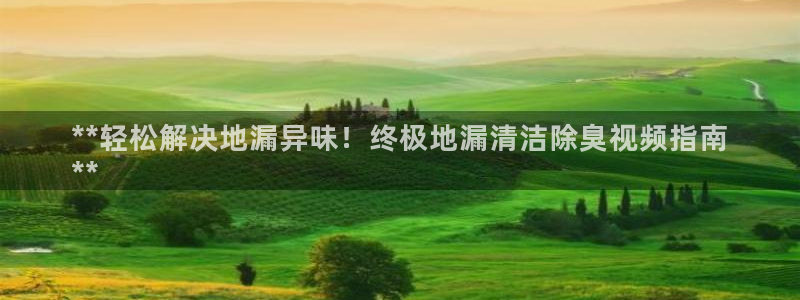 K66凯时国际平台官