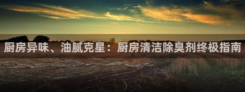 尊龙官网在哪里：厨房异味、油腻克星：厨房清洁除臭剂终极指