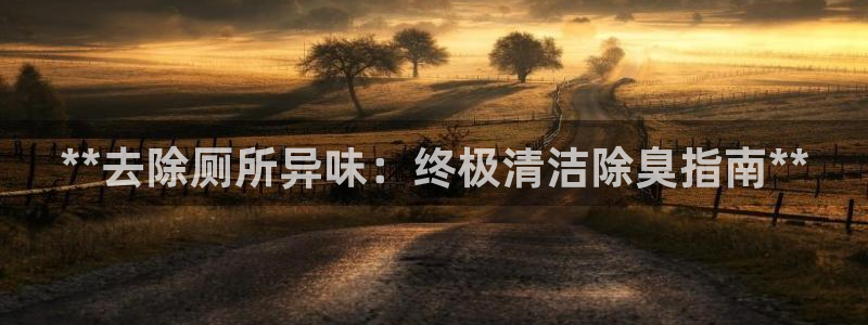 尊龙凯时捕鱼游戏能玩吗：**去除厕所异味：终极清洁除臭指