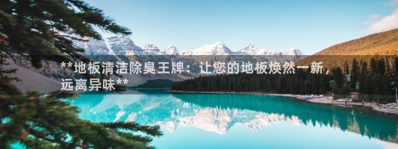 下载尊龙app：**地板清洁除臭王牌：让您的地板焕然一新