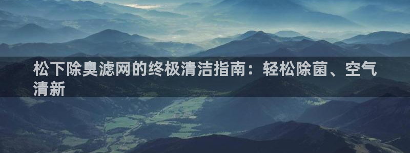尊龙多少岁：松下除臭滤网的终极清洁指南：轻松除菌、空气
