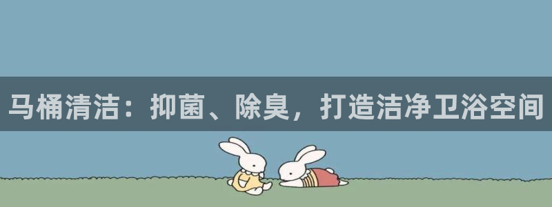 凯时app赢AG发财网来就送38：马桶清洁：抑菌、除臭，