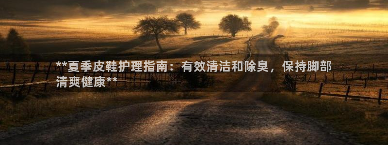 尊龙,人生就是博!登录国际：**夏季皮鞋护理指南：有效清