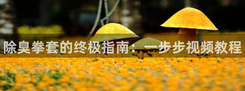 尊龙凯时电竞：除臭拳