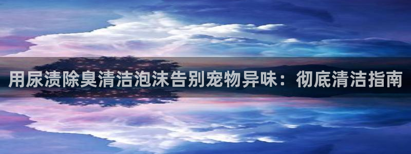 凯时尊龙app国际官方网站：用尿渍除臭清洁泡沫告别宠物异