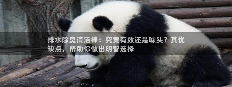 尊龙人生就是博客服：排水除臭清洁棒：究竟有效还是噱头？其
