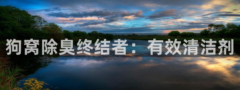 尊龙凯时凯发官网：狗