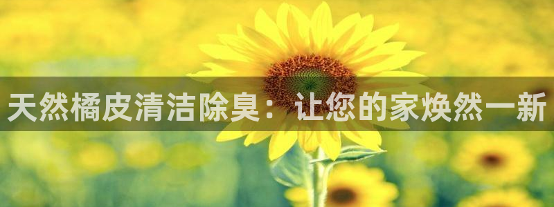 ZL尊龙凯时平台：天然橘皮清洁除臭：让您的家焕然一新