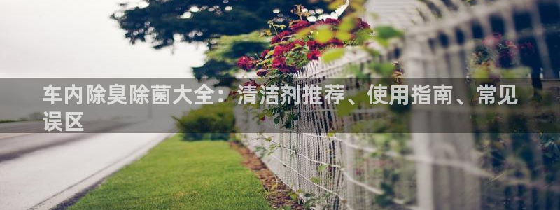 尊龙凯时人生就是搏 品牌专区：车内除臭除菌大全：清洁剂推