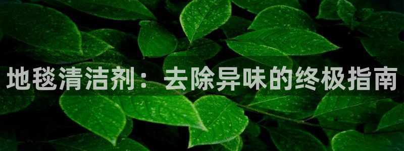 尊龙凯时城游戏官网：