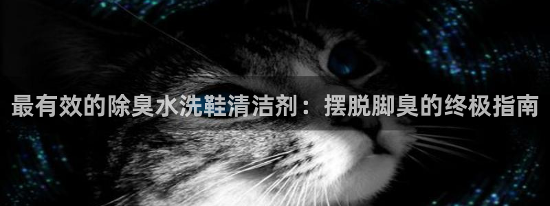 凯时国际平台有人赢吗