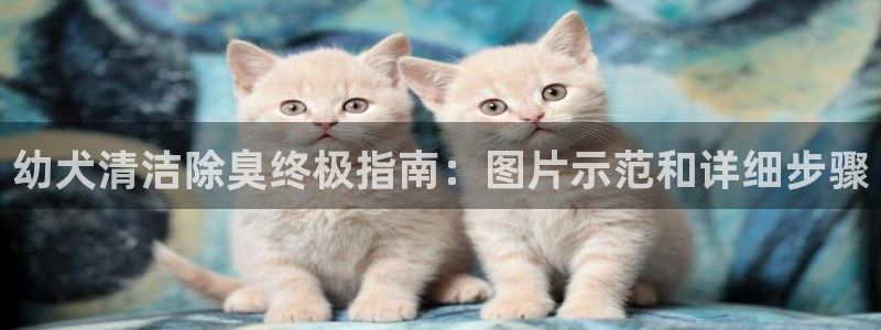 ZL尊龙凯时集团：幼