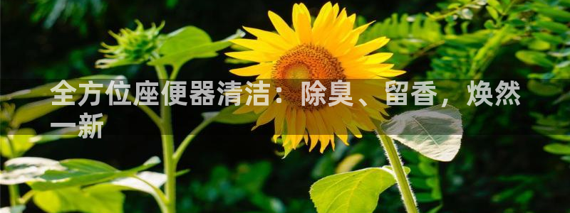 尊龙现金娱乐 下载：