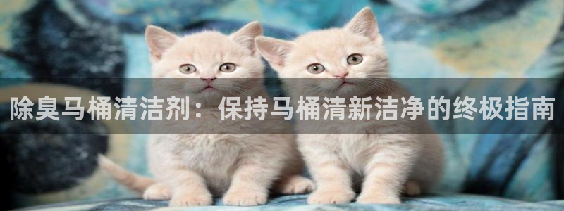 尊龙网站人生就是博