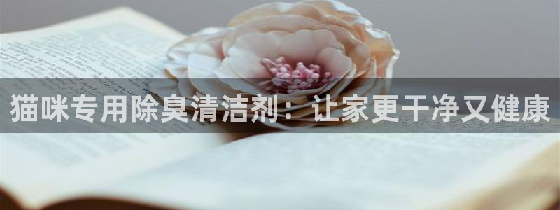 尊龙官方网站最新版V9.3.06介绍