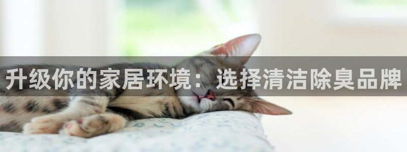 尊龙旗舰厅app