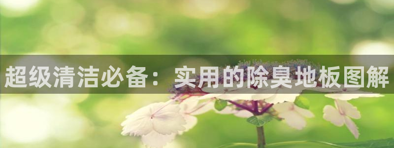 d88尊龙z6