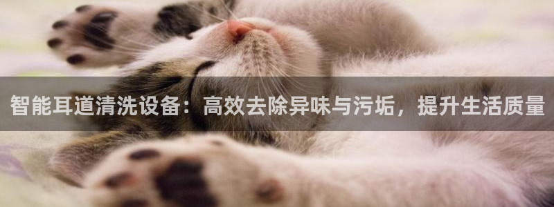 尊龙官网免费下载