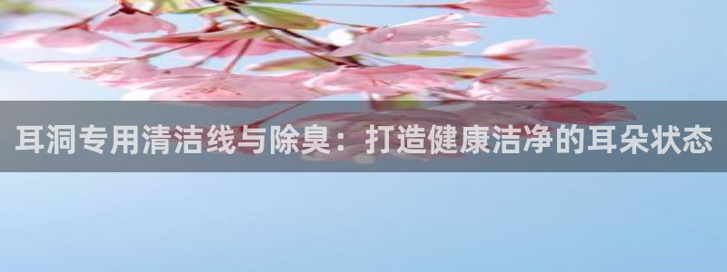 尊龙官网免费下载安装