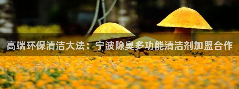 尊龙凯时充值不到账