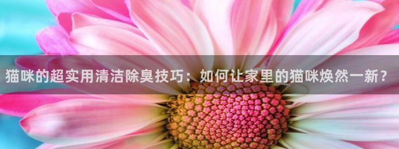 尊龙凯时 - 人生就是搏!提款怎么样