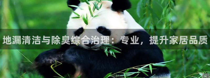 国际凯时ag优质运营商